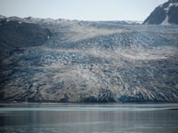 akcruise 091reid-glacier.jpg